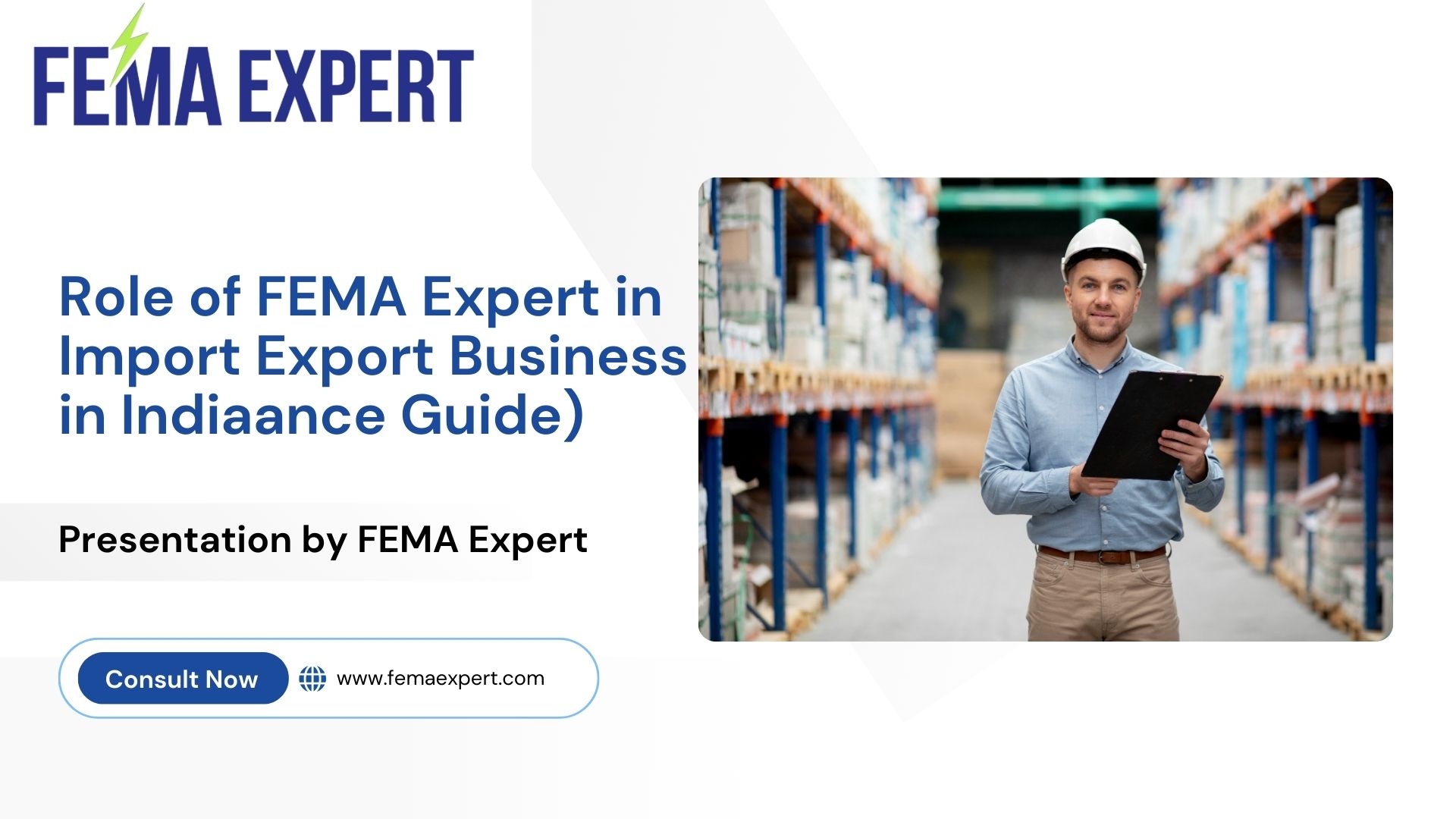 Role of FEMA Expert in Import Export Business in India (IEC, FEMA Compliance Guide)